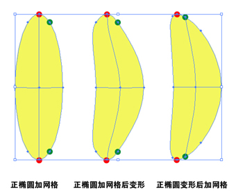 Illustrator渐变网格初学实例:叶片制作（图一）