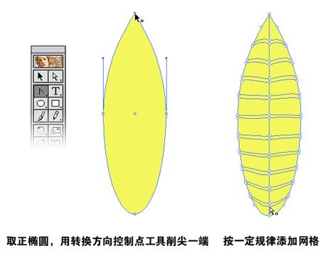 Illustrator渐变网格初学实例:叶片制作（图二）