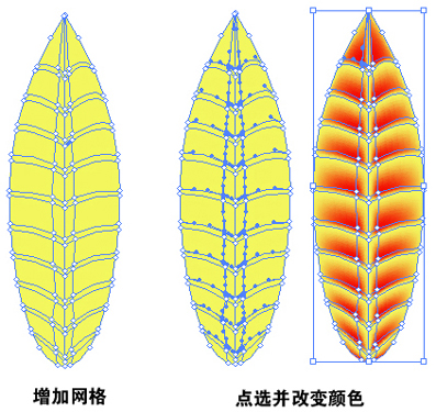 Illustrator渐变网格初学实例:叶片制作（图四）